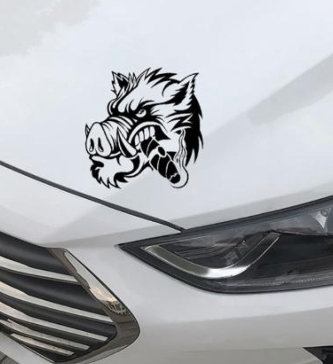 Imagen del producto 6